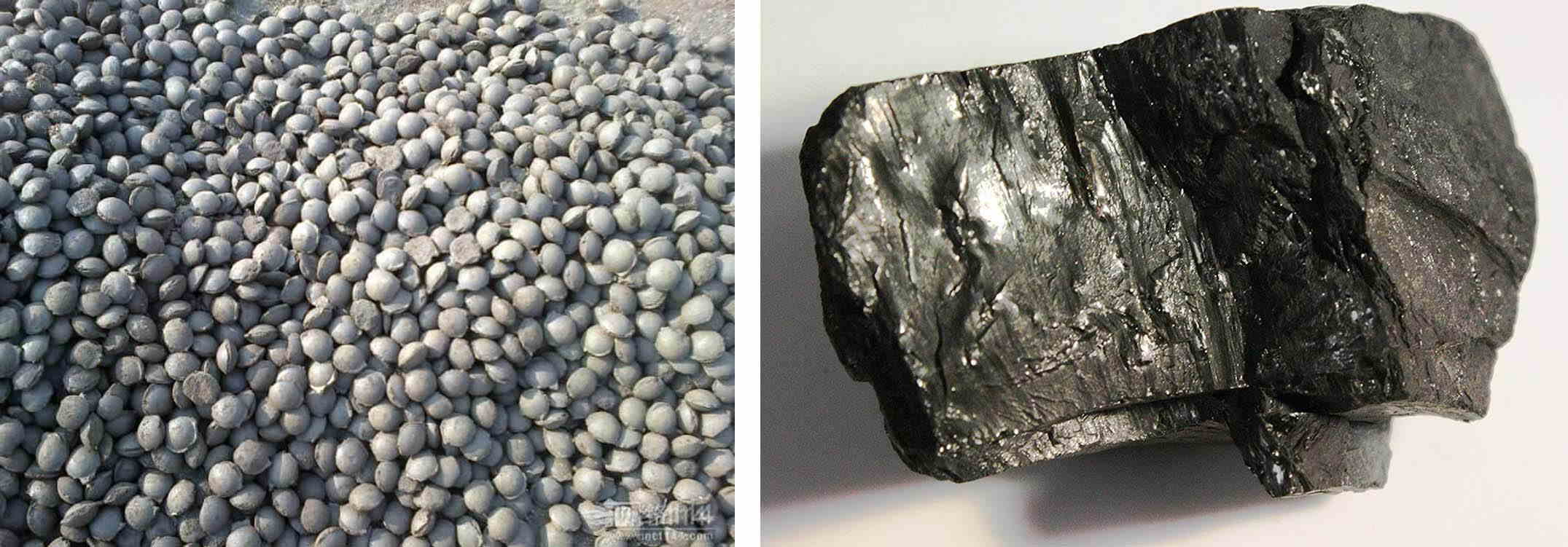 coal briquettes coal briquettes
